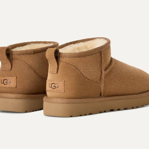 UGG Shoes - UGG Chestnut Suede Mini Ankle Booties